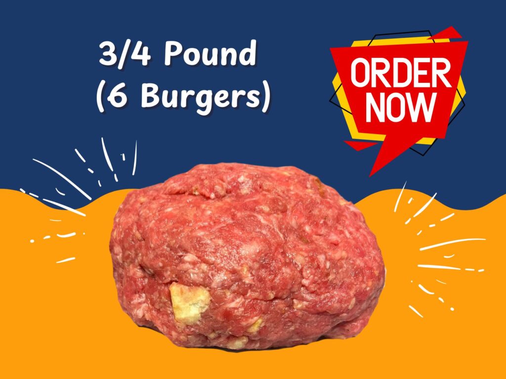 3/4 Pound Handmade AAA Lean Burgers – Thick and Juicy Gourmet Patties